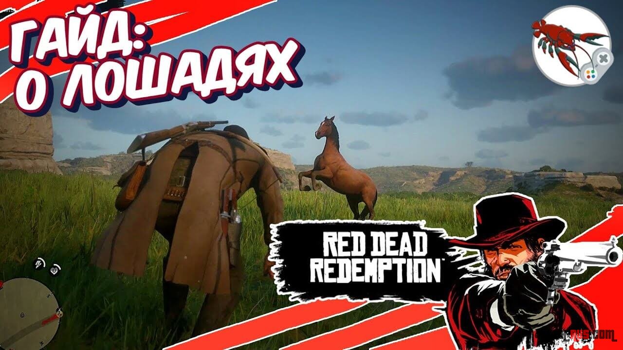 Red Dead Redemption 2 - Гайд для новичков о лошадях